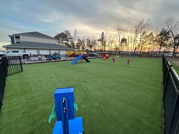 a dog park with green grass and obstacles surrounded by a fence